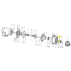2115-003-00 - AMT Cleanout Gasket Pump Part