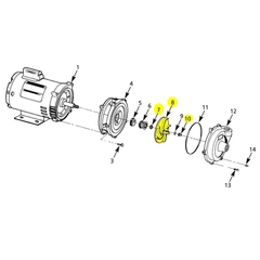 3700-013-98 AMT Pumps Repair Part - Impeller, Gorman-Rupp.