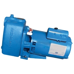 Burks T15WA6-BF Crane WA6 Self-Priming Centrifugal Pump