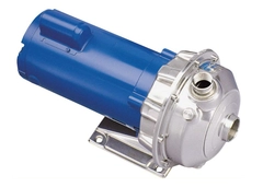 3ST4E9D4E Goulds Pump G&L NPE Series