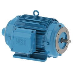 WEG 00518NT3FVD184TC-W22 Vector Duty Motor