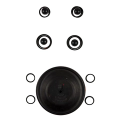 02-9815-53 Wilden Wet End Repair Kit for 1" Plastic Pumps
