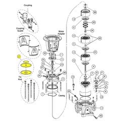 Goulds Pump Part 5K377 O-RING KIT, VITON 46SV