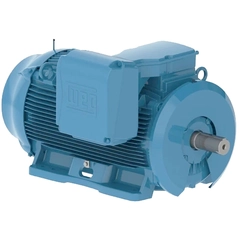WEG 60018ET3G586/7-W22 General Purpose Motor