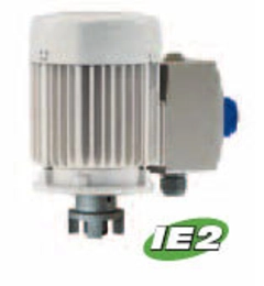 Lutz 0172-765-1 Drum Pump Motor BV70-D