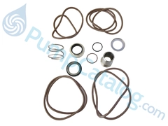 RPKESHS Goulds Pumps Seal Kit- S-Group