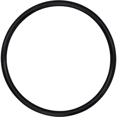 04-1300-52-500 Wilden Pumps O-Ring AODD Spare Part