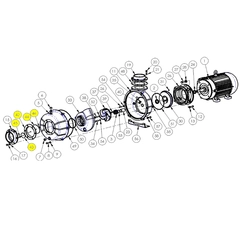 6200-070-90 AMT Pump Repair Parts & Kits, Check Valve