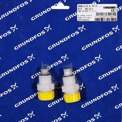 Grundfos Kit, valve SD-S-PVDF/T/C-1, 97751671 Dosing Pump Kits