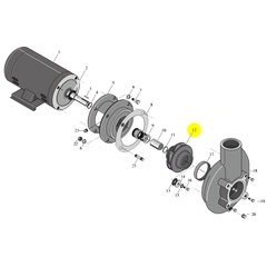 Berkeley Pump C105-224DE Water System Parts
