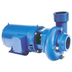 53BF1JBB5 Goulds Pumps 3656LH Low Head Cast Iron Bronze Pump