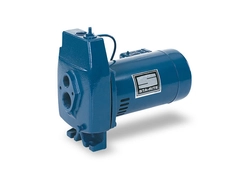 STA-RITE Pumps Cast Iron Deep Well Jet Pump FLD-L