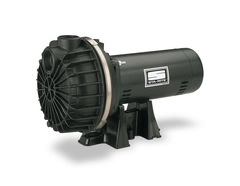 STA-RITE Pumps Centrifugal Pump PD2HE-L