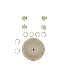 01-9805-56 Wilden Wet End Repair Kit for 0.5" Plastic Pumps