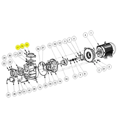 399C-080-95 - AMT Discharge Flange Kit 399D-95