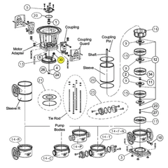 Goulds Pump Part 6L19 FILL PLUG SSV w/VITON O-RING