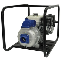 AMT Pump Model Number 3P9XHR