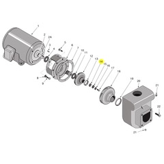 Berkeley Pump C20-100 Water System Parts