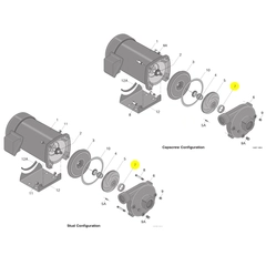 Berkeley Pump C23-19 Water System Parts