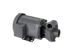 MP Pumps 23209, Series 130 Standard End Suction Centrifugal Pump