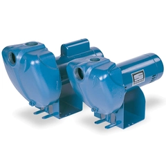DS3HF-01MS1 Pentair Sta-Rite DS3 Centrifugal Pump