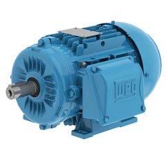 WEG 00236ET3WAL90L-W22 IEC TRU-Metric Motor