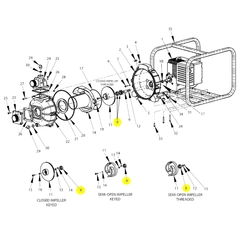 3-258-A - AMT IPT Seal Assembly Viton