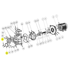 399C-040-95 - AMT Cleanout Cover Kit 394G-95 394H-95 Pumps