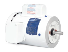 VWDL3507 Baldor AC Motor, White Washdown Duty Motors