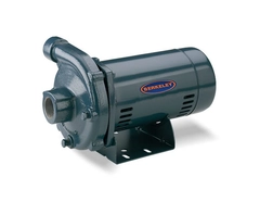 Berkeley Pumps Model S39521 CP / CB Centrifugal Pump