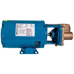 Burks 5CT5MJK Crane CT Close Coupled Turbine Pump