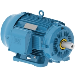 WEG 01536ST3QIE254T-W22 IEEE 841 Severe Duty Motor
