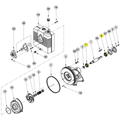 Barnes Pump Repair Part Number 017807