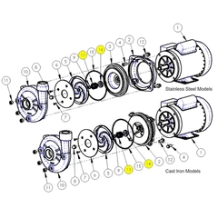 1641-165-90 - AMT-Pumps-Logo-White