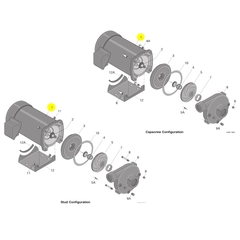 Sta-Rite AP100GL-T Replacement Above Ground Motors