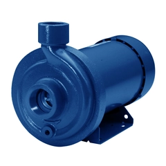 Goulds Pumps 100MC1D4E0 MCC Cast Iron Centrifugal Pump