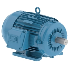 WEG 01036ET3E215T-W22 General Purpose Motor