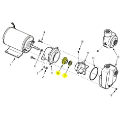 1641-051-90 - AMT Shaft Seal Assembly 4851-97 4861-97