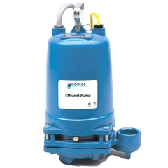 2ED51C4DFF Goulds Pumps 2ED Dual Seal Effluent Pump