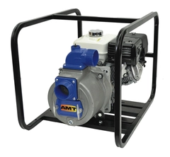 AMT Pump Model Number 3943-96