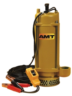 AMT Pump Model Number 5890-DC