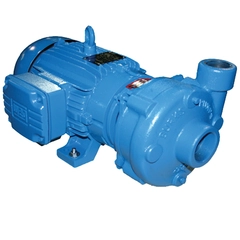 T350GA6-1-1/2-AI-5.69 Crane Burks GA6-1-1/2 Series Pumps