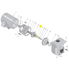 Berkeley Pump C23-14 Water System Parts