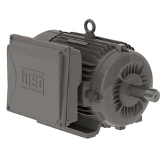 WEG 00736ES1B213T-W22 General Purpose Motor