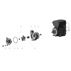 MP 39280 Pump Repair Parts CFX 75 Motor
