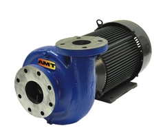AMT Pump Model Number 428B-95