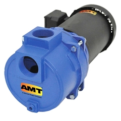 AMT Pump Model Number 316A-95