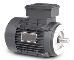 MVM5200C Baldor .25KW-.33HP/3360 RPM/3PH/TEFC/IEC D63C