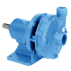 F1BF07V Goulds Xylem 3742 Frame Mounted Pumps