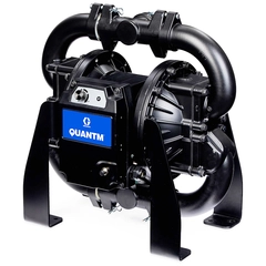 Graco TE120-0295 QUANTM EODD Pump, Product View